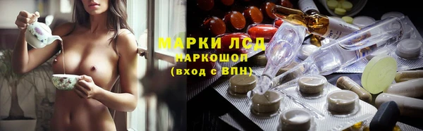 ПСИЛОЦИБИНОВЫЕ ГРИБЫ Алзамай
