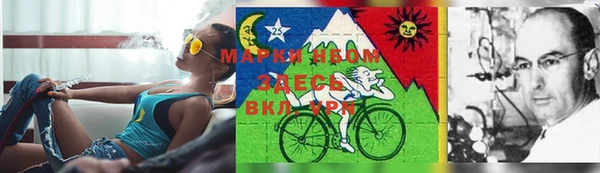 ПСИЛОЦИБИНОВЫЕ ГРИБЫ Алзамай