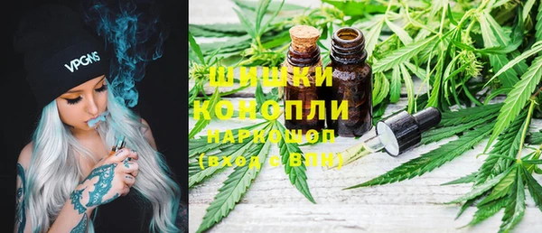 ПСИЛОЦИБИНОВЫЕ ГРИБЫ Алзамай