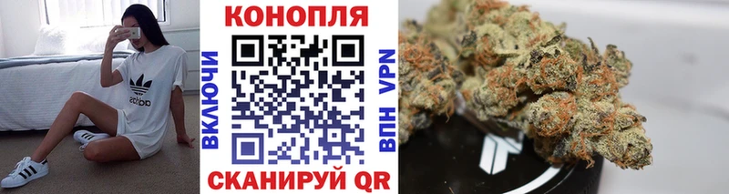 где купить   Пермь  Бошки марихуана конопля 